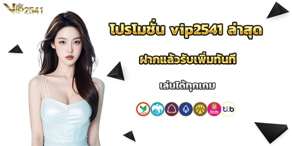 โปรโมชั่น vip2541